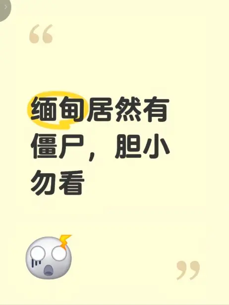 《缅甸僵尸出土事件》高清完整版在线观看-缅甸僵尸出土事件视频揭秘缅北真相-无删减免费播放