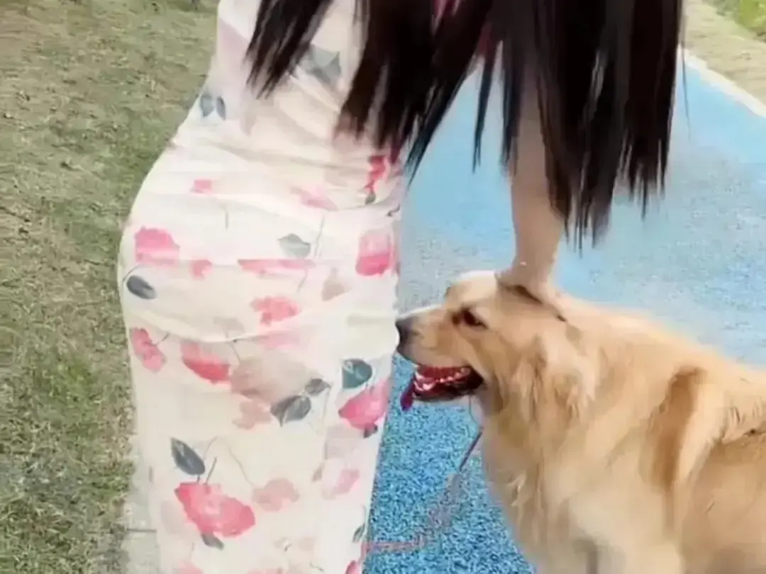 《抖音香香公主与爱犬金毛》完整版在线高清免费观看-香香公主与爱犬日常互动直播回放无广告网盘资源免费秒播-抖音香香公主与爱犬金毛个人珍藏版