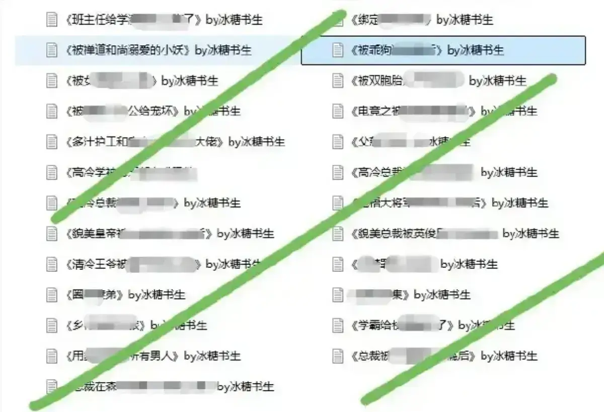 《冰糖书生小说完整合集》全本无删减TXT-冰糖书生小说完整版在线阅读-高清免费下载资源