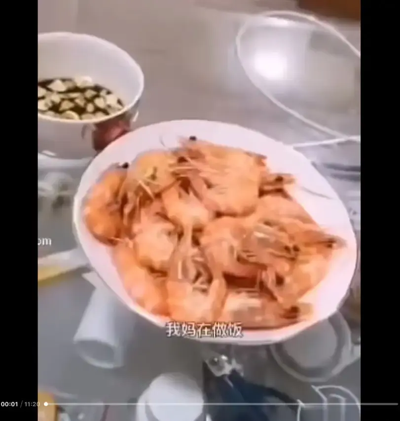 《大虾母子厨房完整版》高清视频免费在线观看-资源下载梗揭秘-视频解析来龙去脉