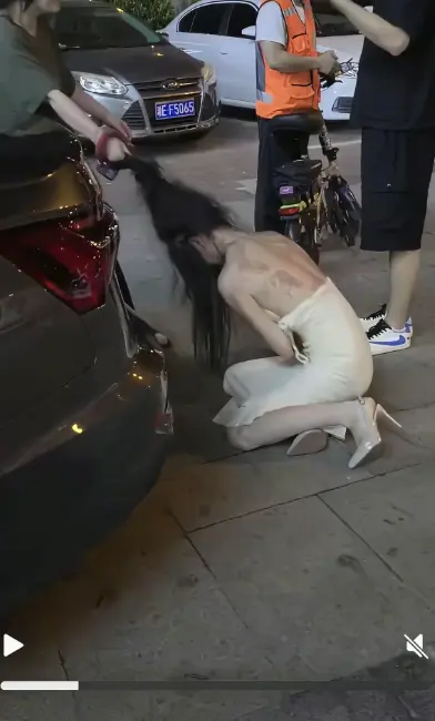 《白裙女子被抓头发跳河》无广告免费观看HD高清-白裙女子被抓头发跳河事件始末与后续-湘E车牌女子揪头发坠河全记录