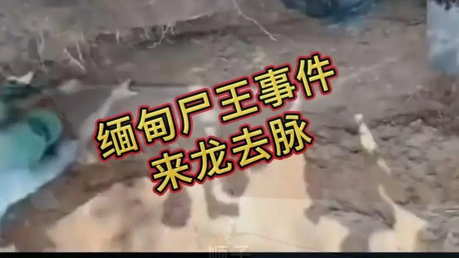 缅甸僵尸出土事件视频在线观看免费播放 - 完整版资源下载高清未删减全程录像解密